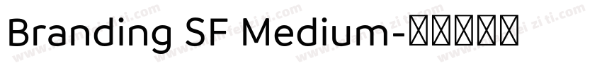Branding SF Medium字体转换